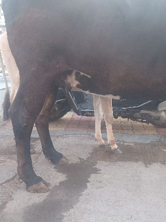 थंबनेल 2