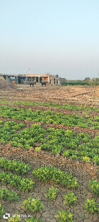 આ જમીન વેચવાની છે