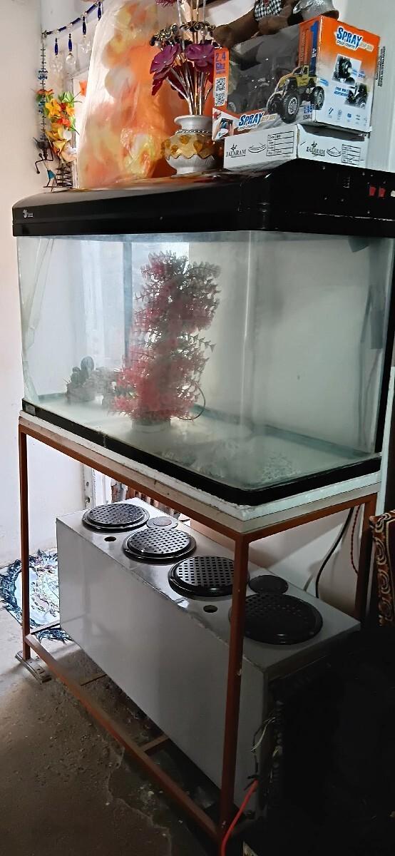 ઈમપોટેઙ  માછલીધર