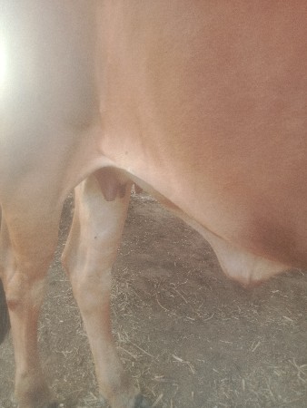 थंबनेल 2