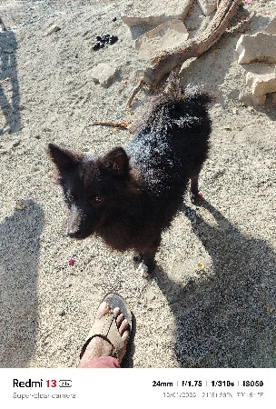 थंबनेल 2