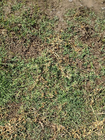 khatar vechvanu chhe 2 trekter