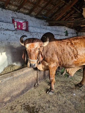 थंबनेल 3