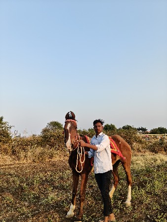 થંબનેલ 2