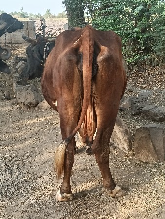 थंबनेल 3