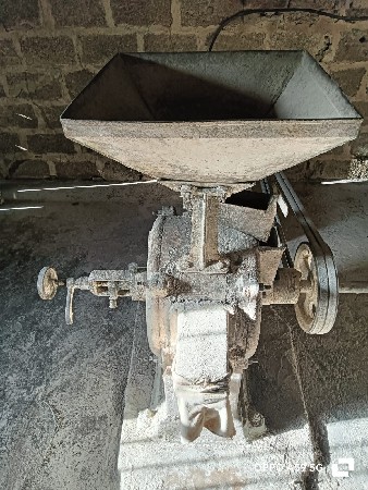 થંબનેલ 2