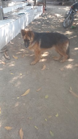 થંબનેલ 2