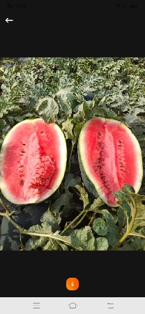 વેચવાનું છે