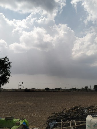 મગફળી નો ભુકો વેચવાનો છે 
9 વીધ