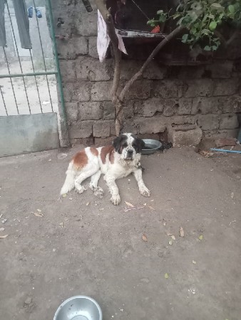 थंबनेल 2