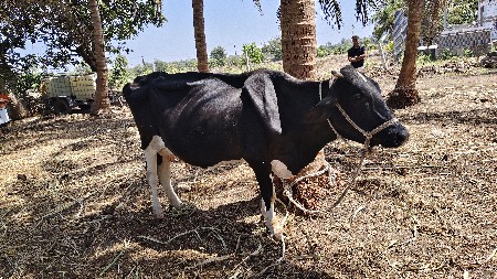 थंबनेल 2