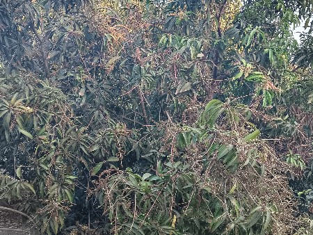 થંબનેલ 3