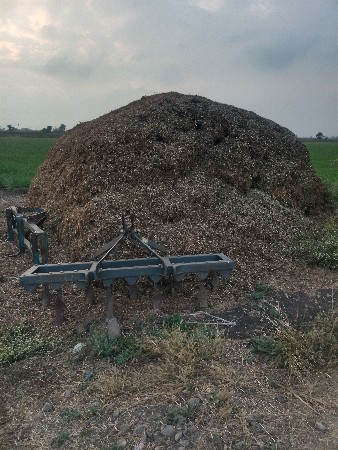 માંડવીયુ વેચવાનું છે