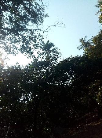 थंबनेल 2