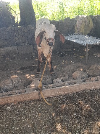 थंबनेल 3