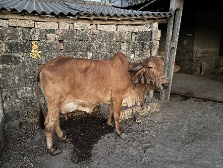 थंबनेल 3