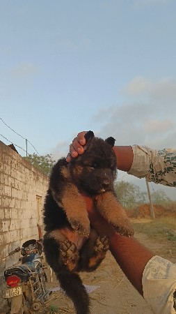 થંબનેલ 2