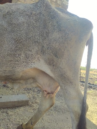 થંબનેલ 2