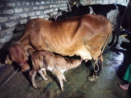 थंबनेल 3