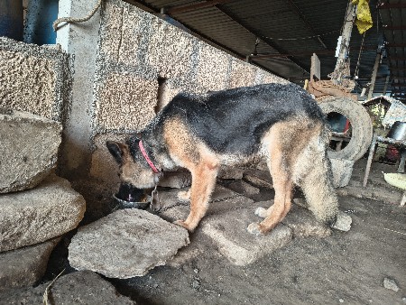 થંબનેલ 2