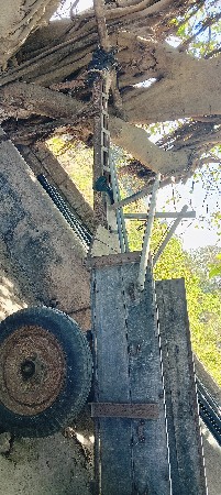 બળદ ગાડું