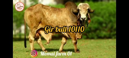 थंबनेल 3