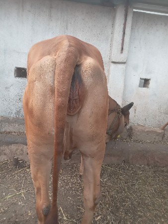 थंबनेल 3