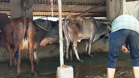 थंबनेल 4