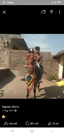 थंबनेल 2