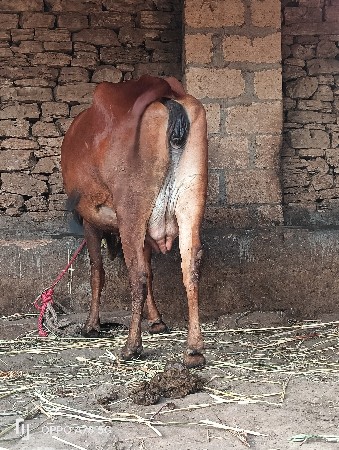 થંબનેલ 3