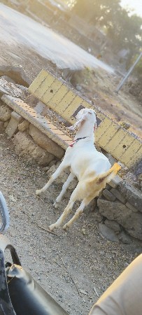 थंबनेल 2