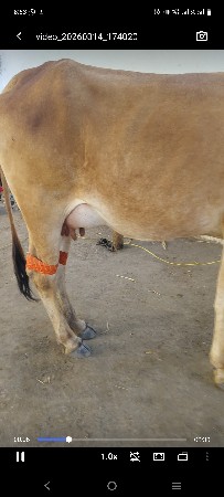 थंबनेल 3