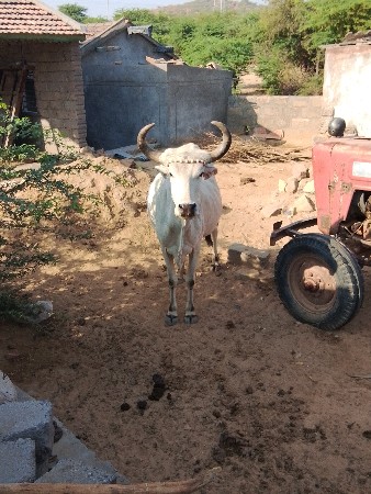 થંબનેલ 2