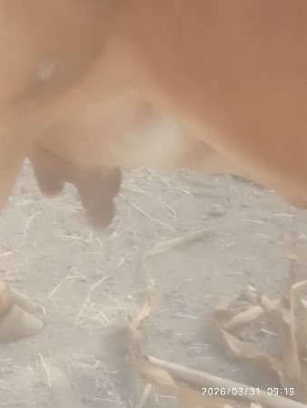 થંબનેલ 3