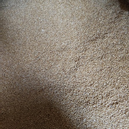 ખાવા માટે બેસ્ટ ટુકડા ઘવ ૧૭૩