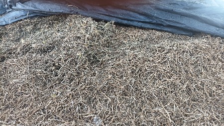 મગફળી નો પાલ