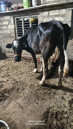 थंबनेल 3