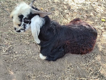 ખોટાભાવ ના  કરવા