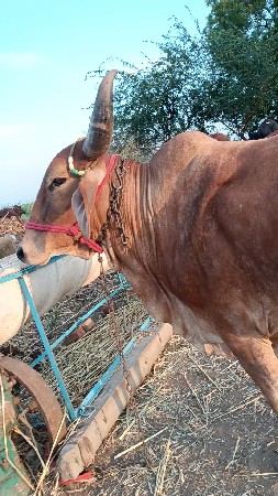 थंबनेल 2