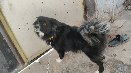 થંબનેલ 2