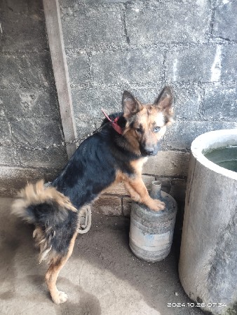 થંબનેલ 3