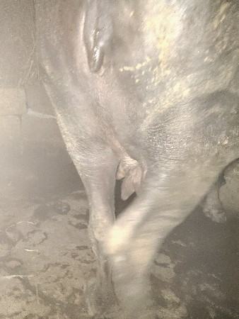 थंबनेल 3