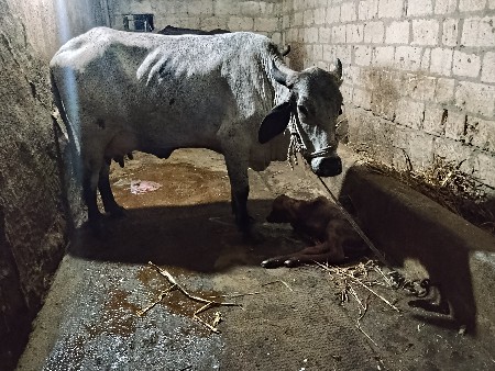 थंबनेल 2