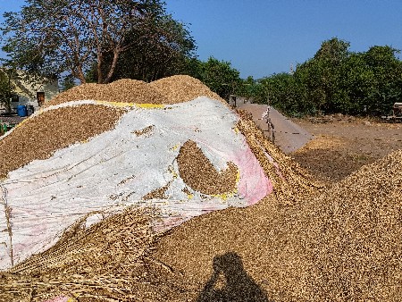 ચણા નો ભૂકો ખારીયું