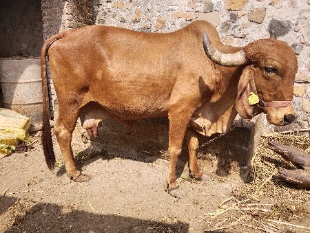 थंबनेल 3