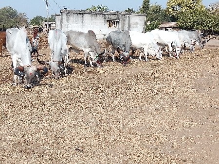 थंबनेल 2