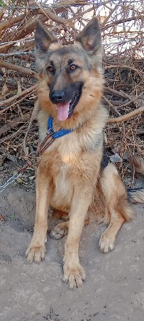 થંબનેલ 2