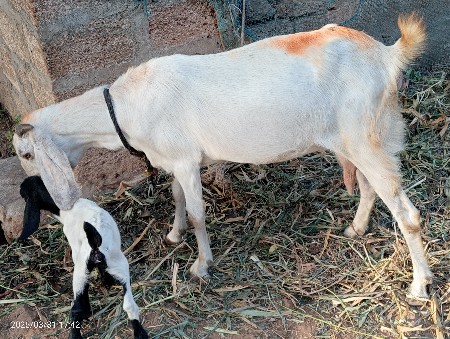 થંબનેલ 2