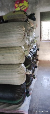 20 નં  બિયારણ ની મગફળી