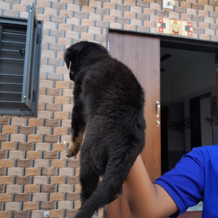 થંબનેલ 2